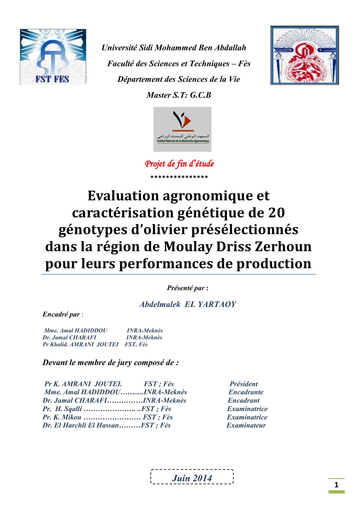 Evaluation agronomique et caractérisation génétique de 20 génotypes d’olivier présélectionnés dans la région de Moulay Driss Zerhoun pour leurs performances de production