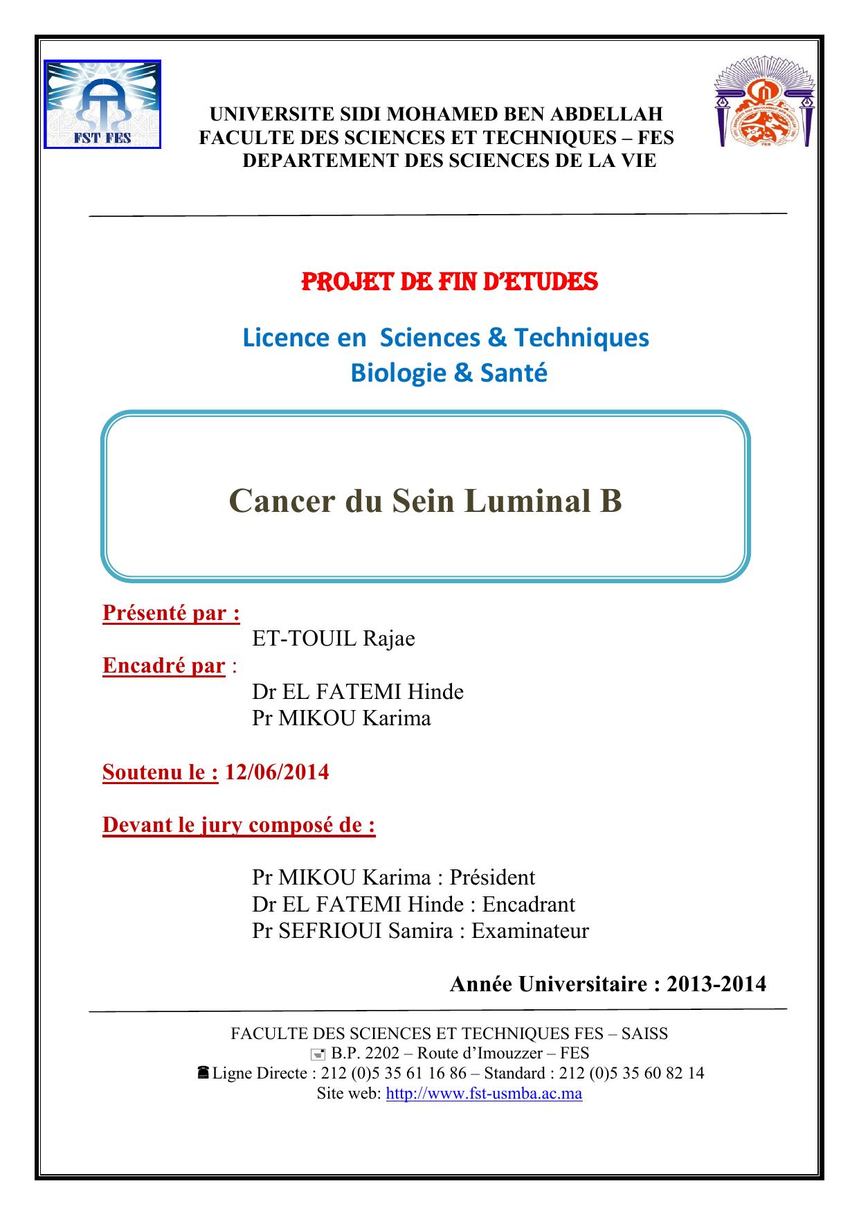 Cancer du Sein Luminal B