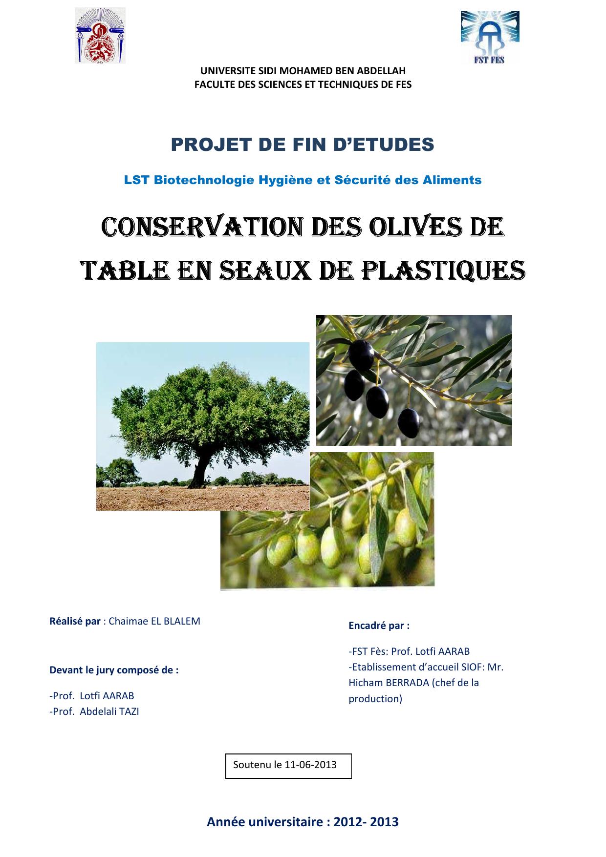 CONSERVATION DES OLIVES DE TABLE EN SEAUX DE PLASTIQUES