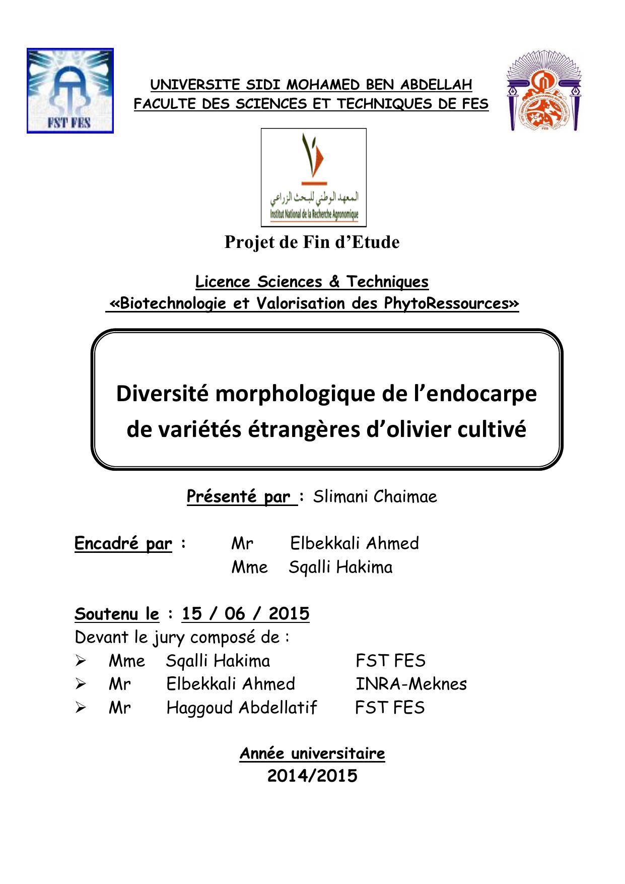 Diversité morphologique de l’endocarpe de variétés étrangères d’olivier cultivé