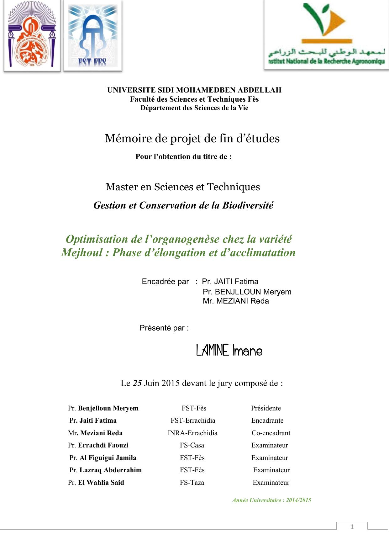 Optimisation de l’organogenèse chez la variété Mejhoul : Phase d’élongation et d’acclimatation