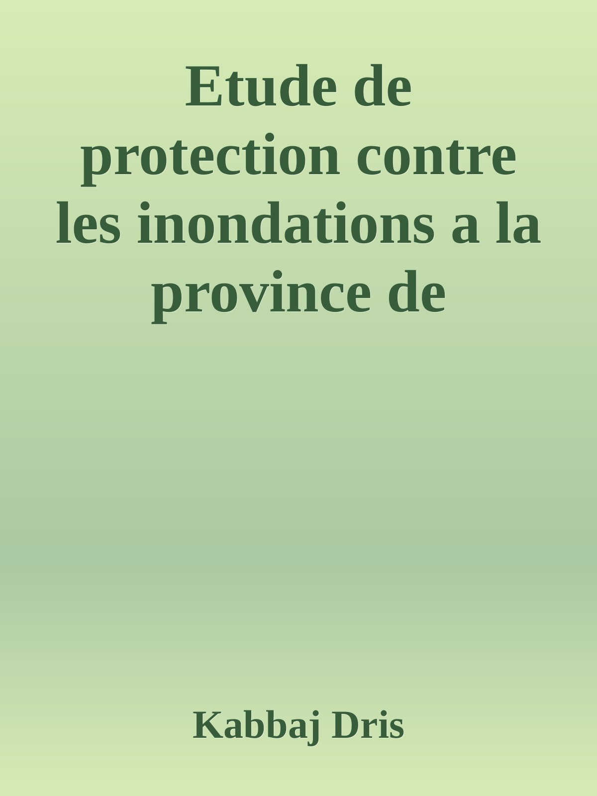 Etude de protection contre les inondations a la province de Tinghir « bassin versant Mgoun »