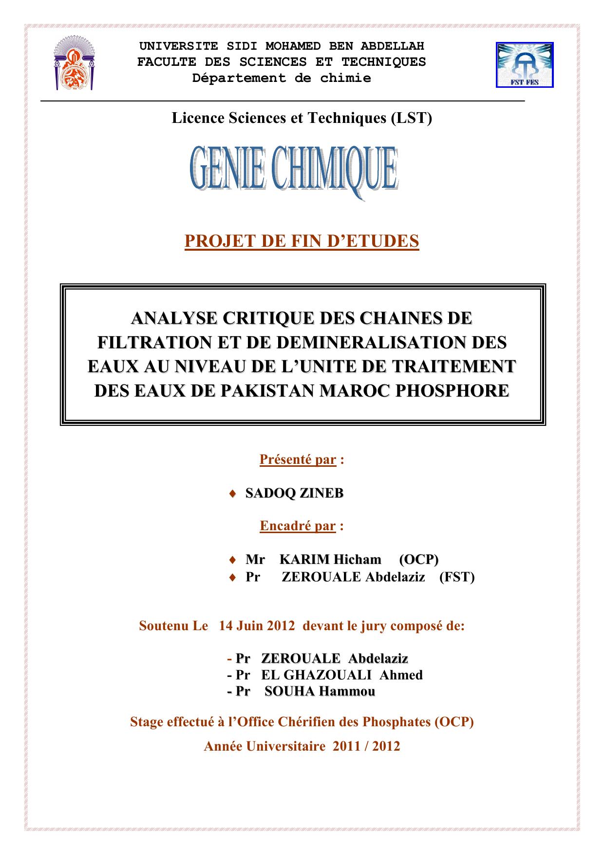 Analyse critique des chaines de filtration et déminéralisation des eaux au niveau de l'unité de traitement des eaux de Pkistan Phosphore