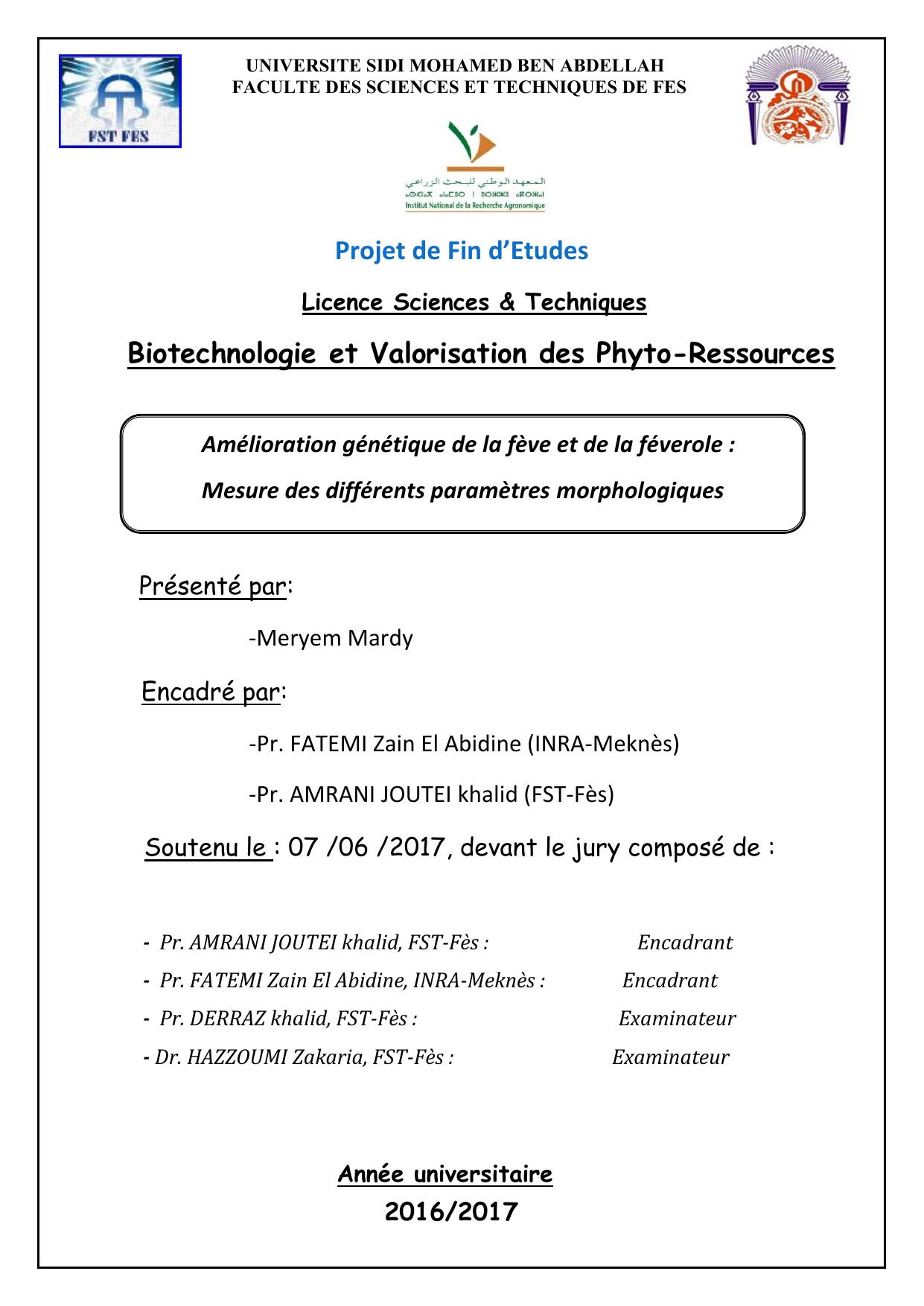 Amélioration génétique de la fève et de la féverole : Mesure des différents paramètres morphologiques