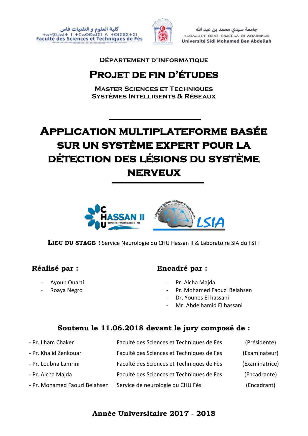 Application multiplatforme basée sur un système expert pour la détection des lésions du système nerveux