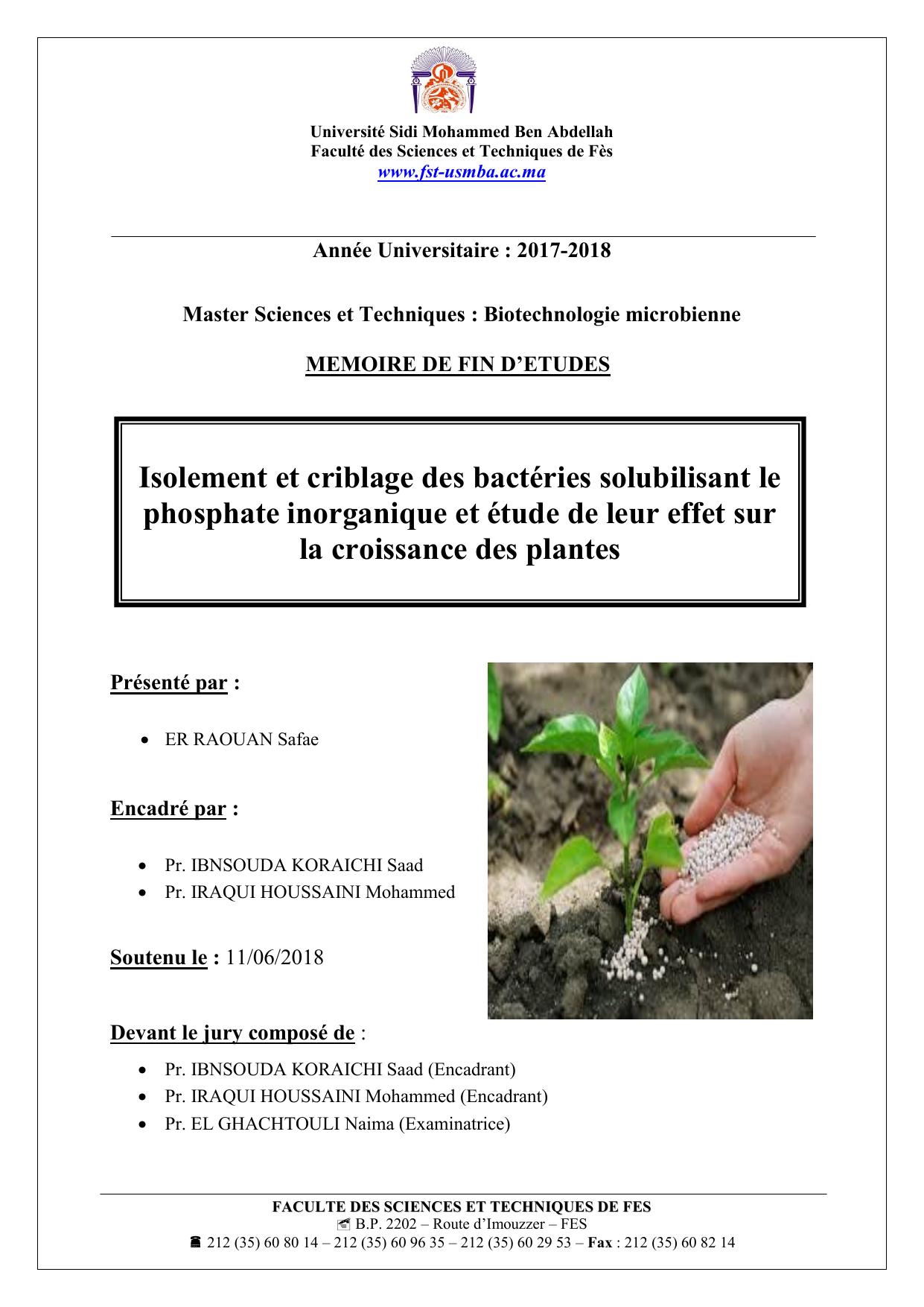 Isolement et criblage des bactéries solubilisant le phosphate inorganique et étude de leur effet sur la croissance des plantes