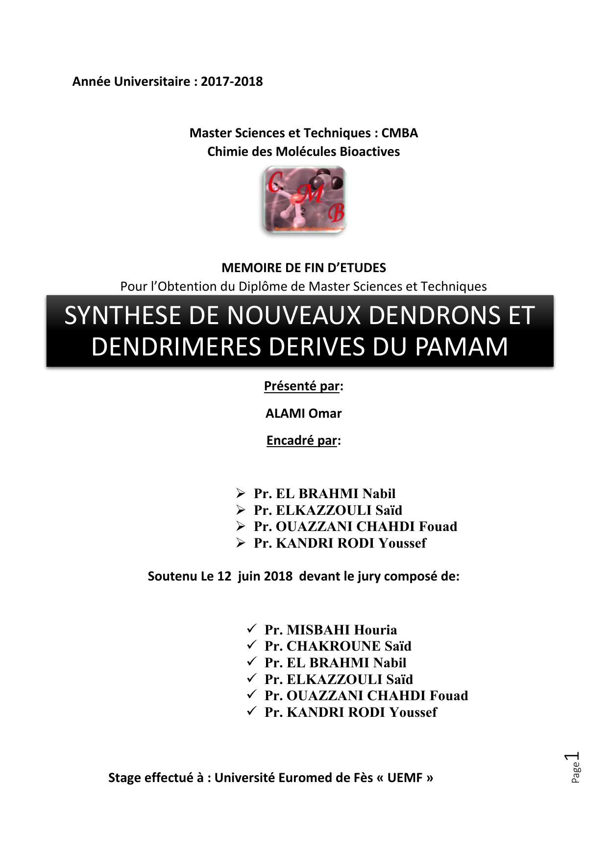 Synthèse de nouveaux dendrons et dendrimères dérives du PAMAM