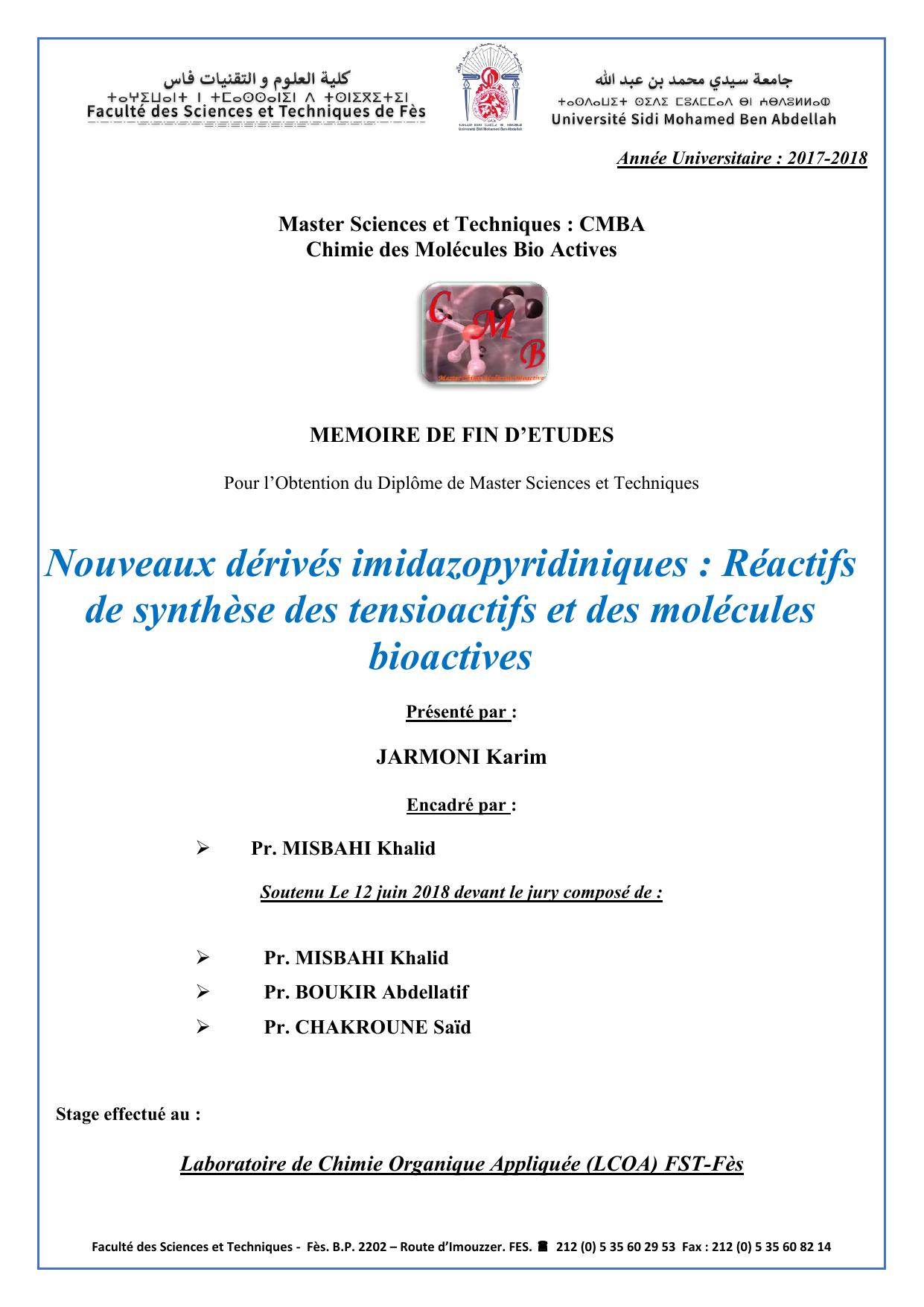 Nouveaux dérivés imidazopyridiniques : Réactifs de synthèse des tensioactifs et des molécules bioactives