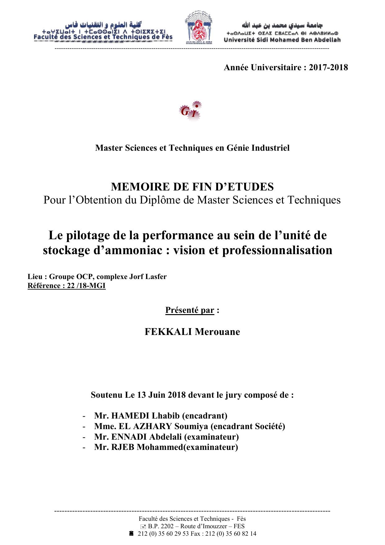 Le pilotage de la performance au sein de l’unité de stockage d’ammoniac : vision et professionnalisation