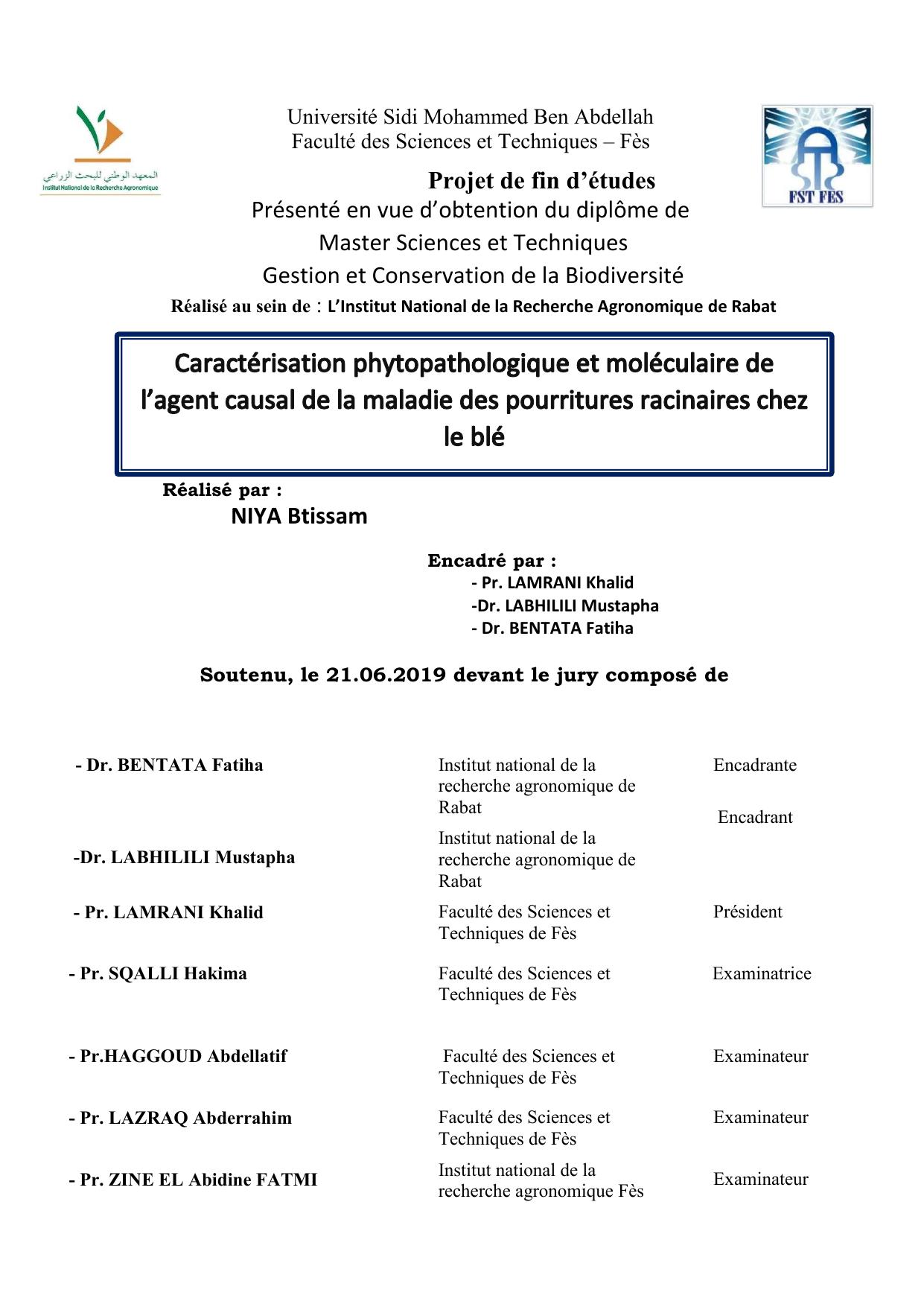 Caractérisation phytopathologique et moléculaire de l'agent causal de la maladie des pourritures racinaires chez le blé