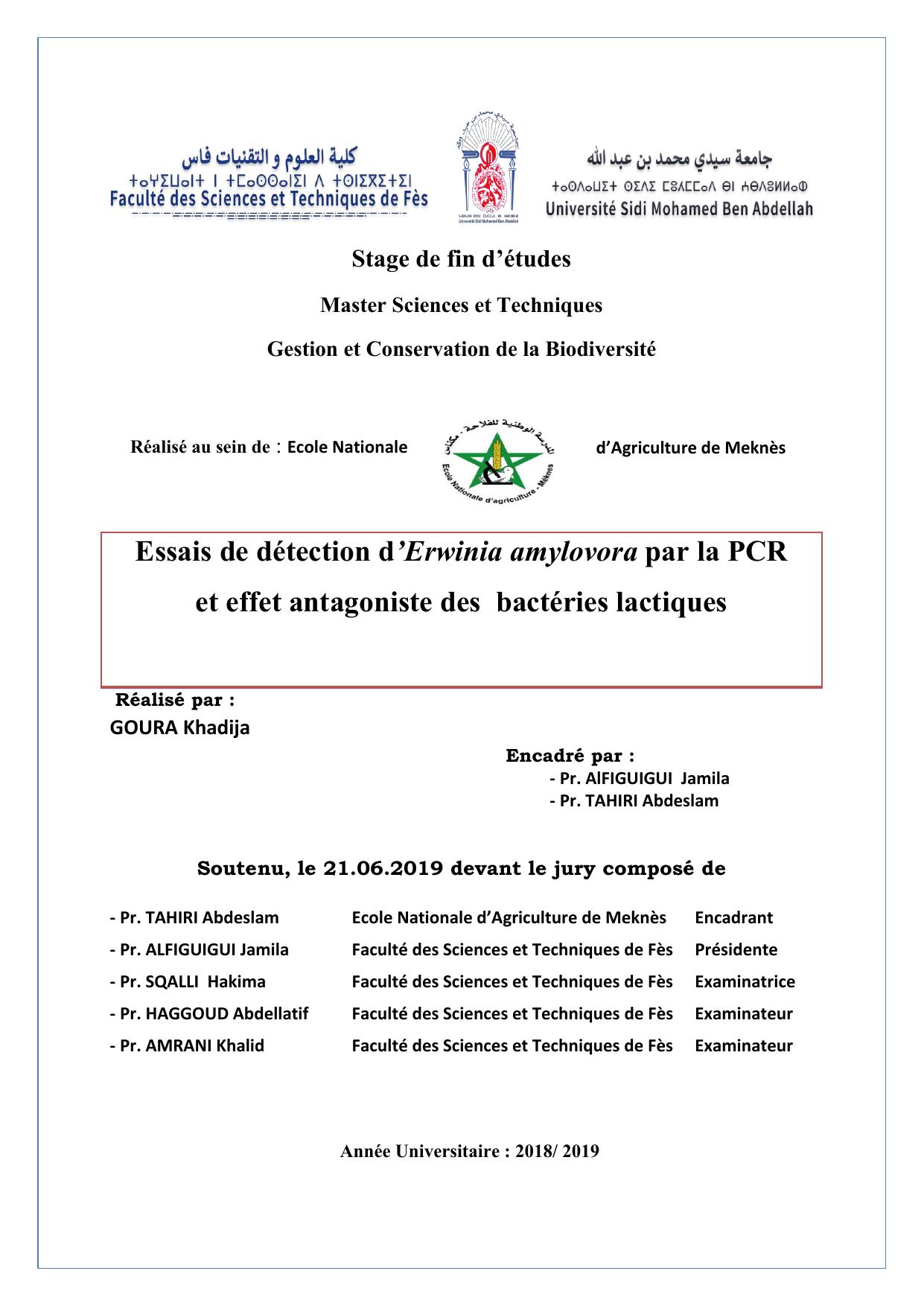 Essais de détection d’Erwinia amylovora par la PCR et effet antagoniste des bactéries lactiques