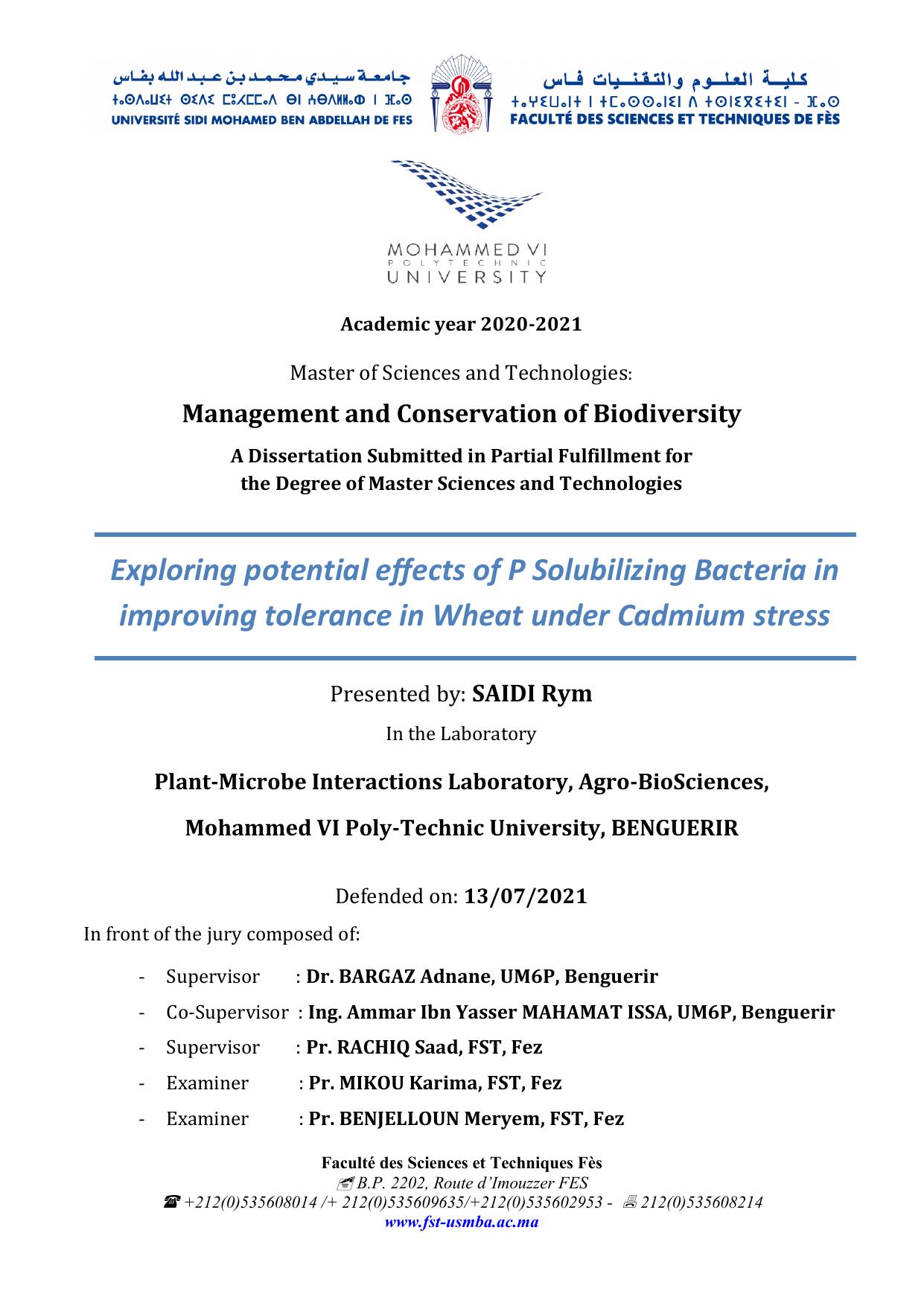 Exploring potential effects of P Solubilizing Bacteria in improving tolerance in Wheat under Cadmium stress