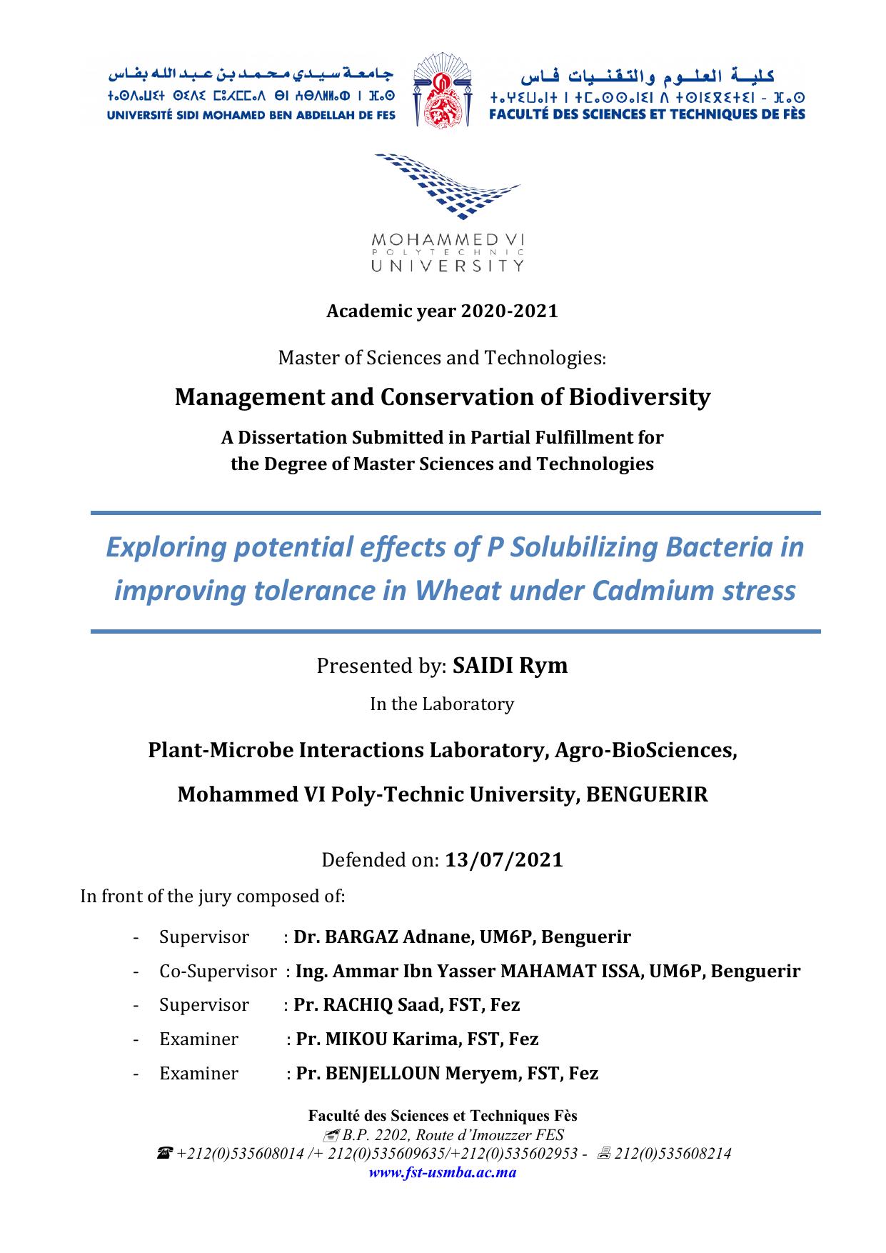 Exploring potential effects of P Solubilizing Bacteria in improving tolerance in Wheat under Cadmium stress