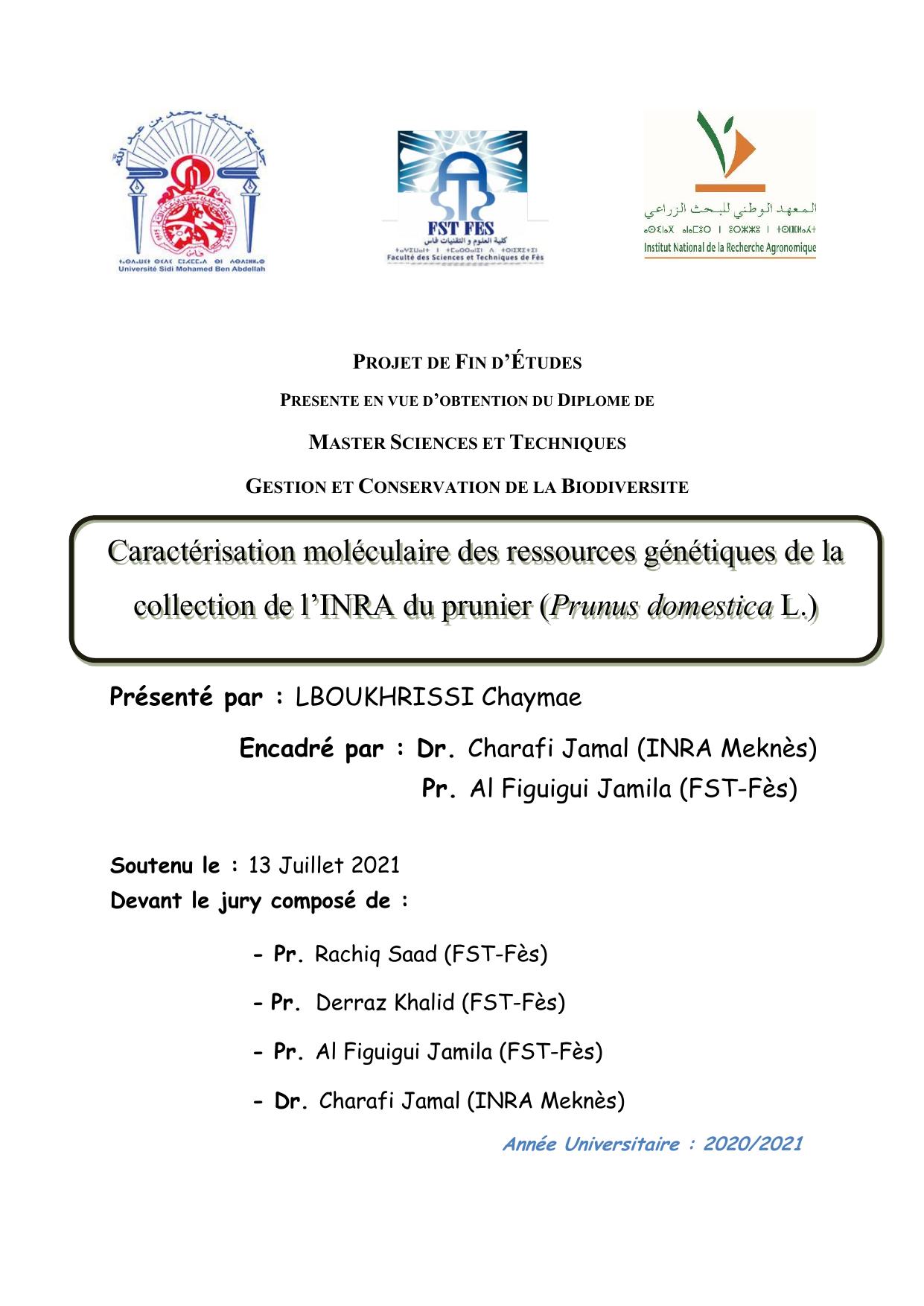 Caractérisation moléculaire des ressources génétiques de la collection de l’INRA du prunier (Prunus domestica L.)