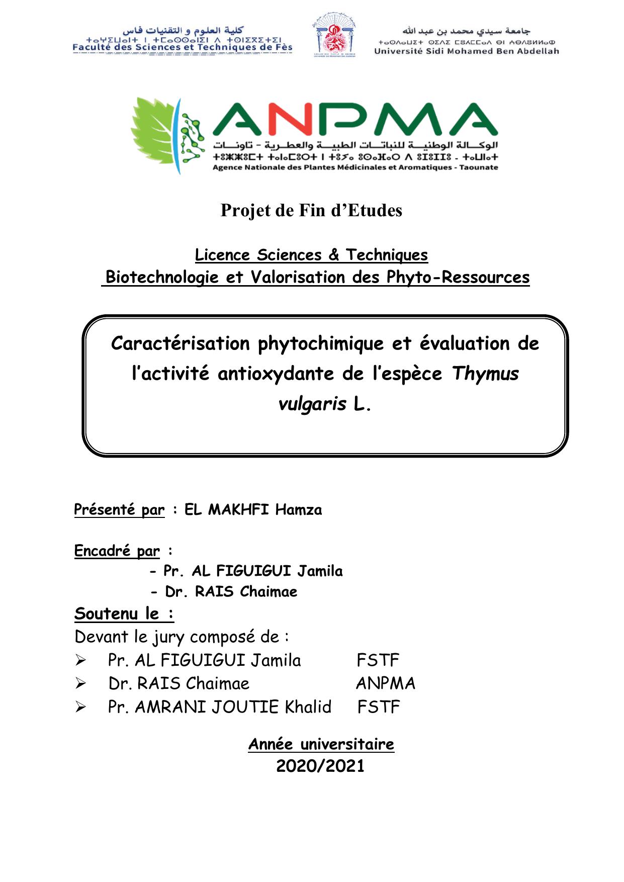 Rapport PFE (3)