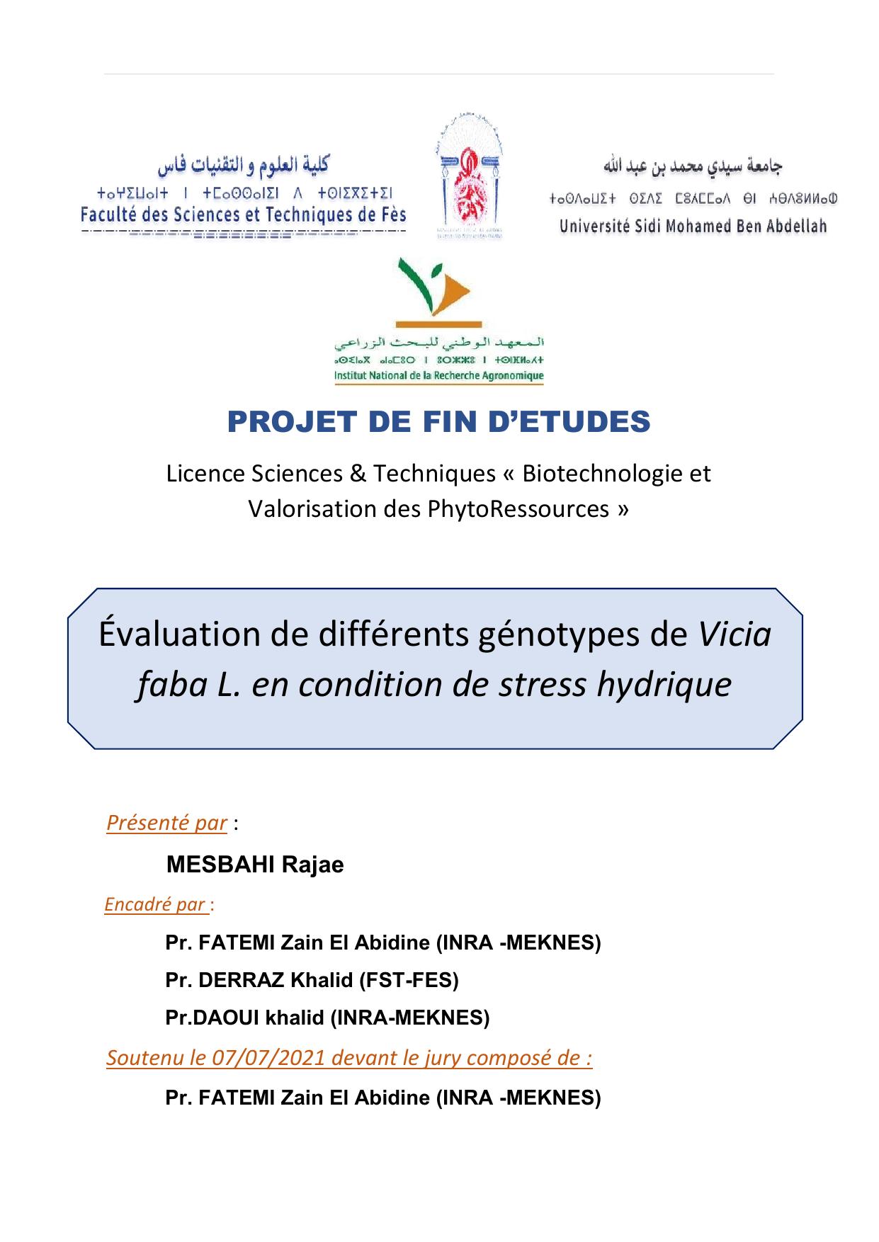 Rapport Mesbahi Rajae pdf 2