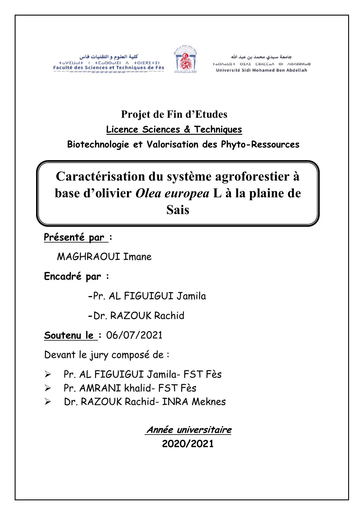 PFE IMANE FINAL (2)