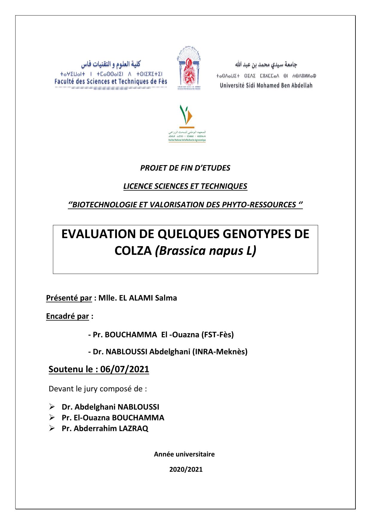 PFE EL ALAMI SALMA (2)