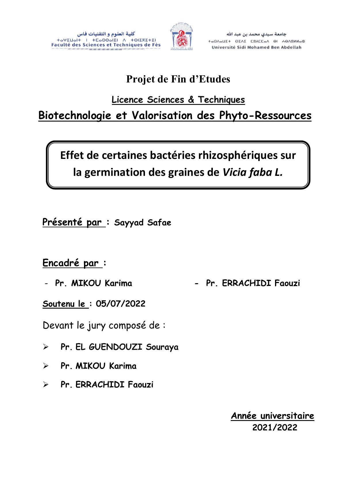 memoire safaaPDF finaaal